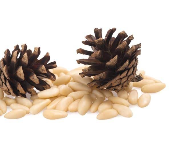 Names Of Dried Fruits - Pine nuts